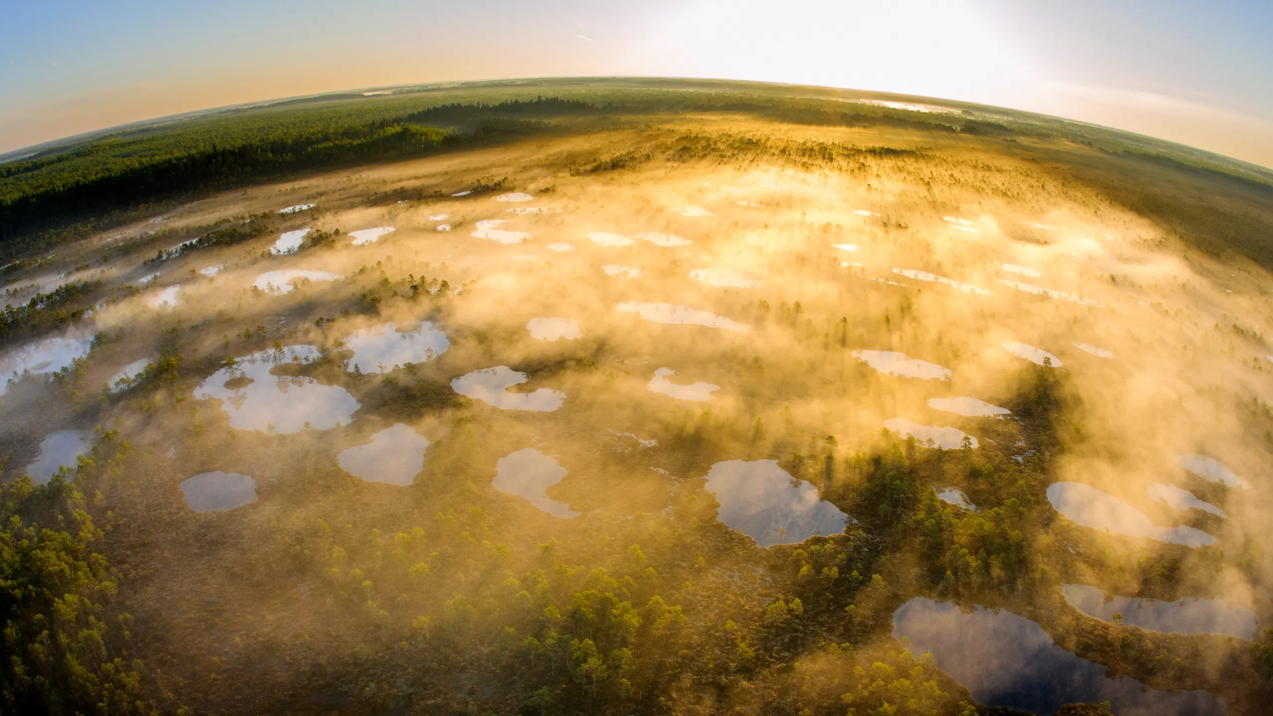 偏执总裁的合约恋人不干了