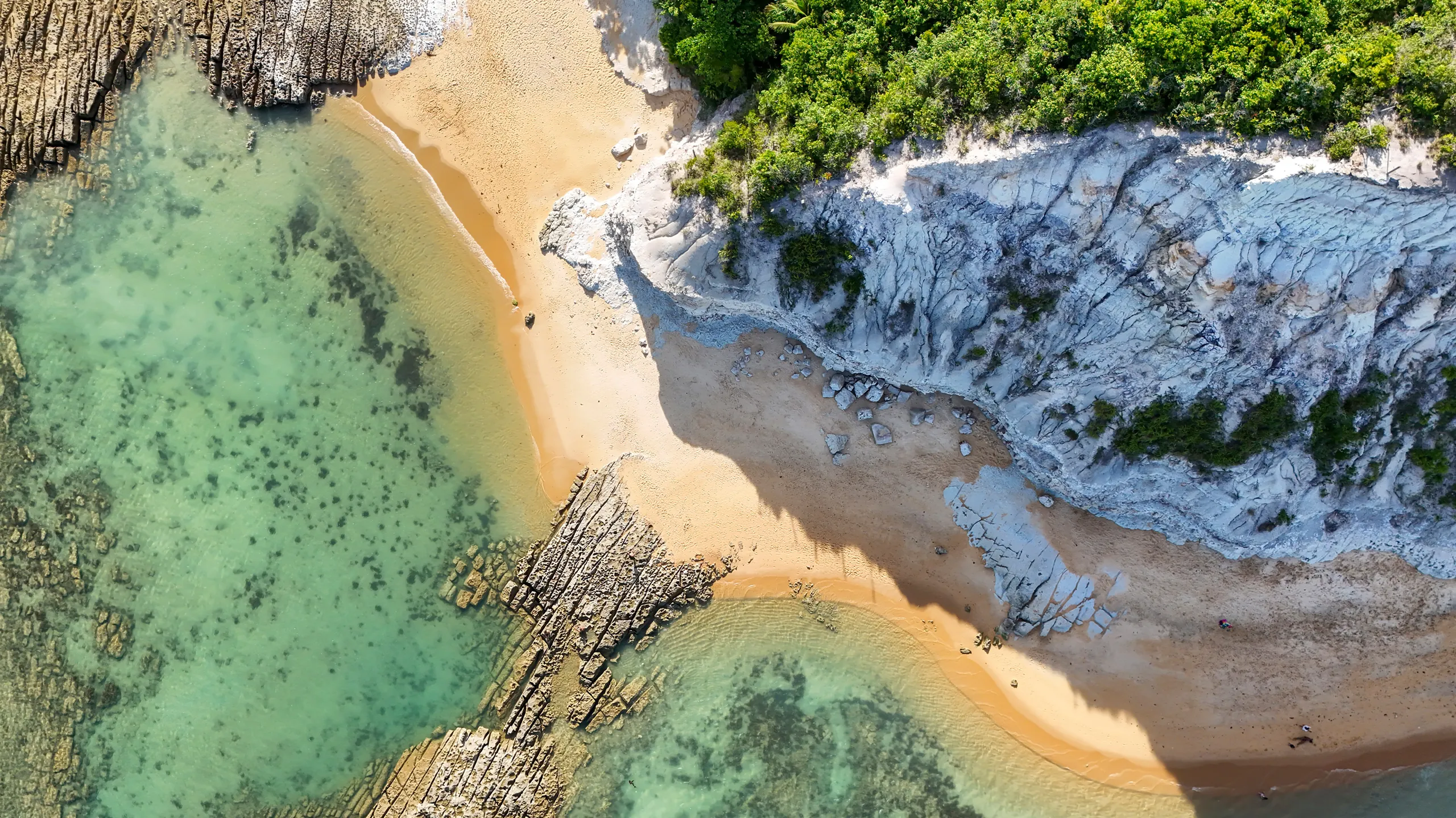 海军罪案调查处：起源